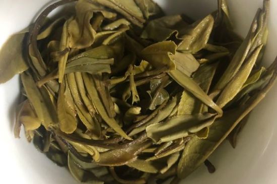 三年白茶賽砒霜，這是真的嗎？