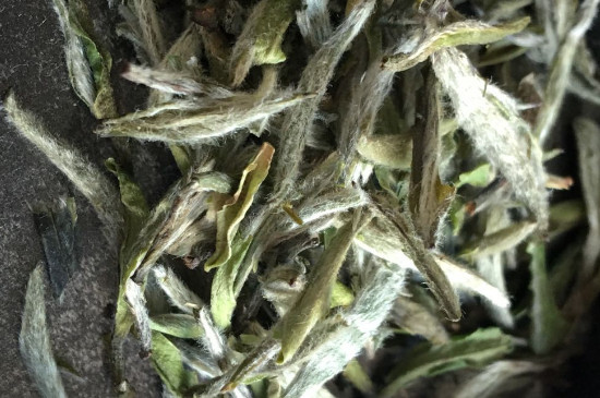 白毫銀針年份久的有什么香，陳年白毫銀針的香氣