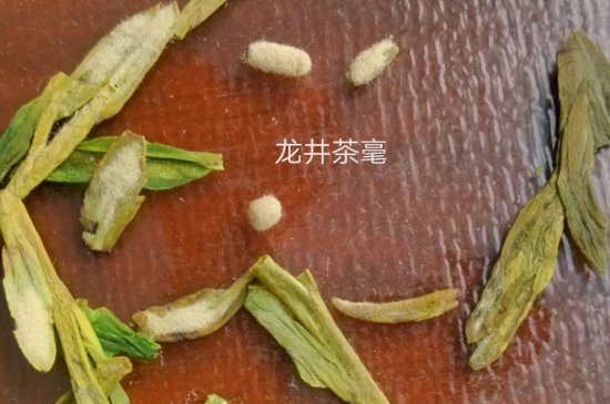 西湖龍井茶毫和發(fā)霉區(qū)別圖片，長(zhǎng)霉的龍井茶葉會(huì)是什么樣？
