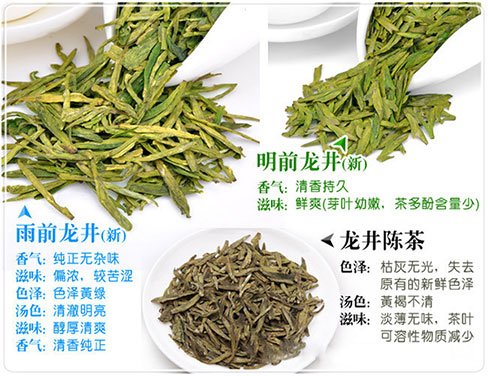 西湖龍井新茶和陳茶的區(qū)別，怎么區(qū)分龍井新茶和舊茶？