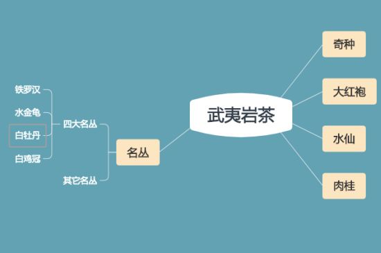 武夷巖茶品種大全，巖茶有幾種？