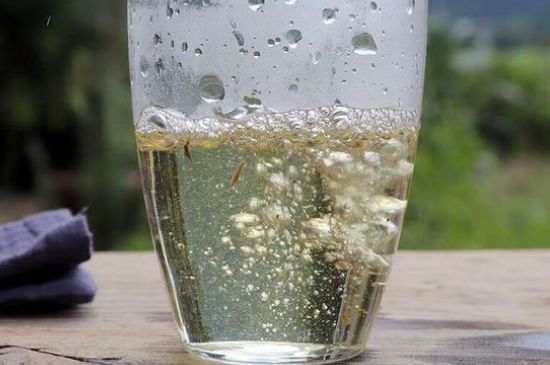 三年白茶賽砒霜，這是真的嗎？