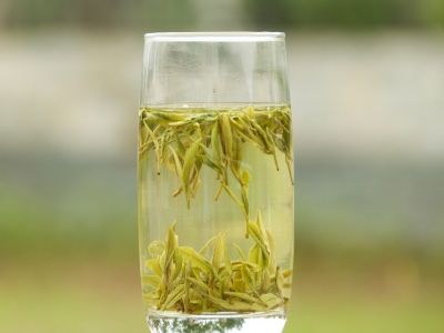 霍山黃芽算是好茶嗎，霍山黃芽屬于什么茶？
