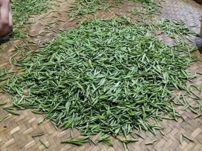 金駿眉幾年可以算陳茶，金駿眉新茶好還是老茶