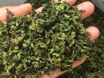 鐵觀音毛茶茶?？梢耘菟葐?，鐵觀音帶梗是不是好茶？