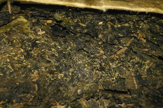 黑茶茯茶保存五大忌，茯茶收藏的注意事項