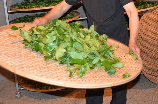 鐵觀音加香精騙局，鐵觀音的香味是添加香精了嗎？