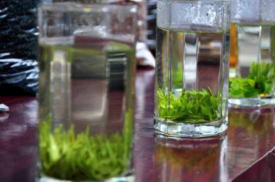 綠茶放了三年還能喝嗎，綠茶放久了喝了會怎樣