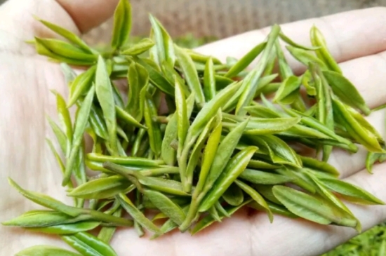 什么是雪前龍井茶，明前、雨前、雨后龍井有什么區(qū)別？