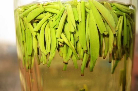 雀舌為何喝著是苦的，雀舌味道怎么那么苦澀？